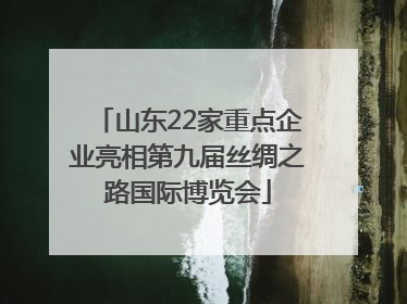 山东22家重点企业亮相第九届丝绸之路国际博览会