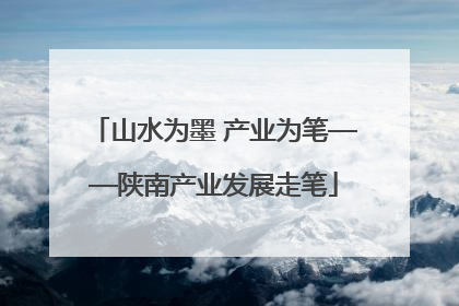 山水为墨 产业为笔——陕南产业发展走笔