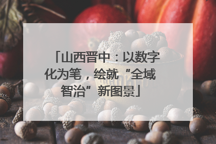 山西晋中：以数字化为笔，绘就“全域智治”新图景