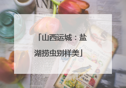山西运城：盐湖捞虫别样美
