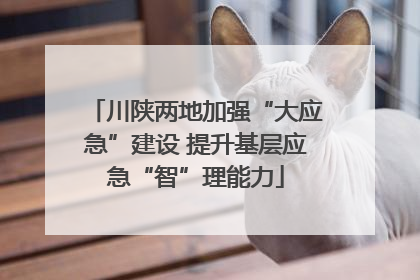 川陕两地加强“大应急”建设 提升基层应急“智”理能力