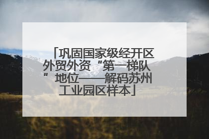 巩固国家级经开区外贸外资“第一梯队”地位——解码苏州工业园区样本