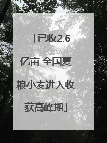 已收2.6亿亩 全国夏粮小麦进入收获高峰期
