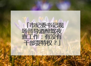 市纪委书记现场督导酒醉驾夜查工作：有没有干部耍特权？