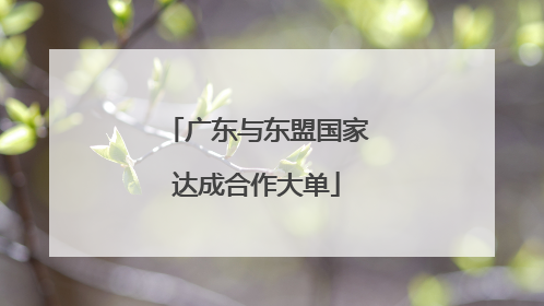 广东与东盟国家达成合作大单