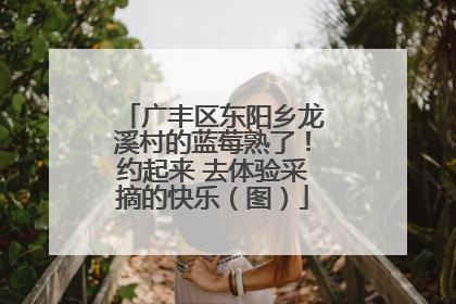 广丰区东阳乡龙溪村的蓝莓熟了！约起来 去体验采摘的快乐（图）