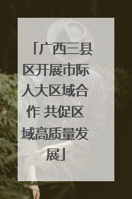 广西三县区开展市际人大区域合作 共促区域高质量发展