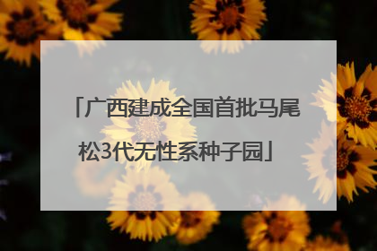 广西建成全国首批马尾松3代无性系种子园