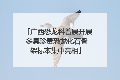 广西恐龙科普展开展 多具珍贵恐龙化石骨架标本集中亮相