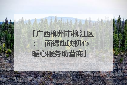 广西柳州市柳江区：一面锦旗映初心 暖心服务助营商