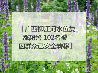 广西柳江河水位复涨超警 102名被困群众已安全转移