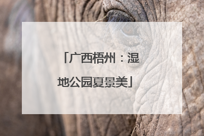 广西梧州：湿地公园夏景美