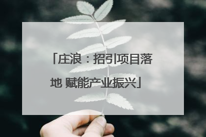 庄浪：招引项目落地 赋能产业振兴