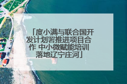 度小满与联合国开发计划署推进项目合作 中小微赋能培训落地辽宁庄河