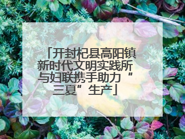 开封杞县高阳镇新时代文明实践所与妇联携手助力“三夏”生产