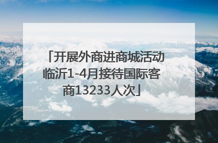 开展外商进商城活动 临沂1-4月接待国际客商13233人次