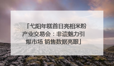 弋阳年糕首日亮相米粉产业交易会：非遗魅力引爆市场 销售数据亮眼