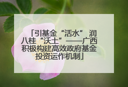 引基金“活水” 润八桂“沃土”——广西积极构建高效政府基金投资运作机制