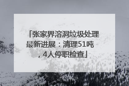 张家界溶洞垃圾处理最新进展：清理51吨，4人停职检查