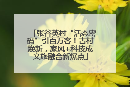 张谷英村“活态密码”引百万客！古村焕新，家风+科技成文旅融合新爆点