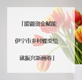 援疆资金赋能 伊宁市乡村蝶变绘就振兴新画卷