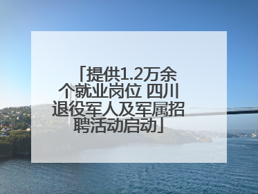 提供1.2万余个就业岗位 四川退役军人及军属招聘活动启动