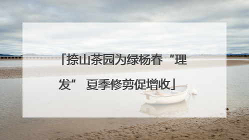 捺山茶园为绿杨春“理发” 夏季修剪促增收