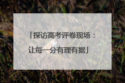 探访高考评卷现场：让每一分有理有据