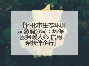 怀化市生态环境局溆浦分局：环保服务暖人心 信用帮扶伴企行