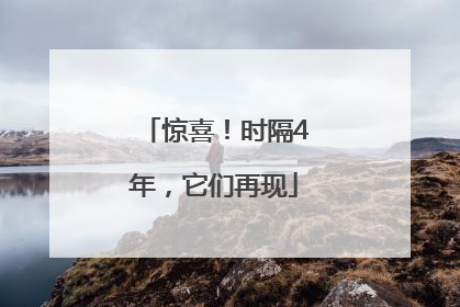 惊喜！时隔4年，它们再现