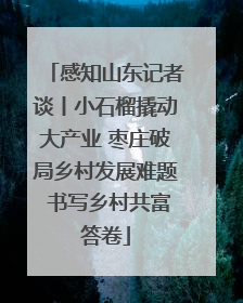 感知山东记者谈丨小石榴撬动大产业 枣庄破局乡村发展难题 书写乡村共富答卷