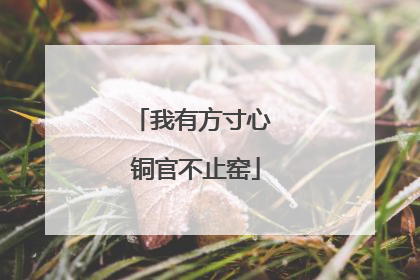 我有方寸心 铜官不止窑