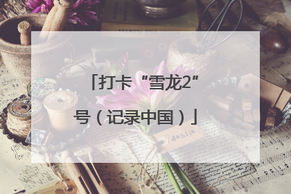 打卡“雪龙2”号（记录中国）