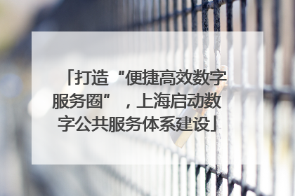 打造“便捷高效数字服务圈”，上海启动数字公共服务体系建设