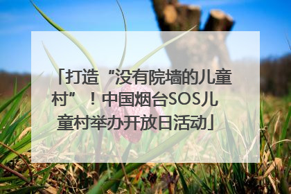 打造“没有院墙的儿童村”！中国烟台SOS儿童村举办开放日活动