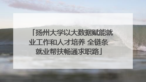 扬州大学以大数据赋能就业工作和人才培养 全链条就业帮扶畅通求职路
