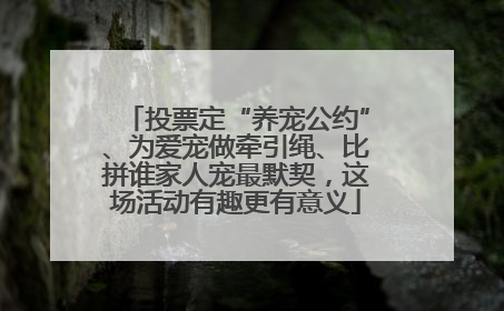 投票定“养宠公约”、为爱宠做牵引绳、比拼谁家人宠最默契，这场活动有趣更有意义