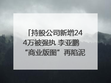 持股公司新增244万被强执 李亚鹏“商业版图”再陷泥潭？｜科技观察