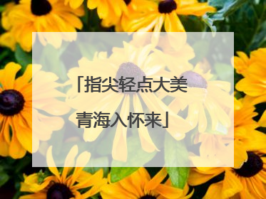 指尖轻点大美青海入怀来