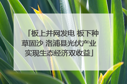 板上并网发电 板下种草固沙 洛浦县光伏产业实现生态经济双收益