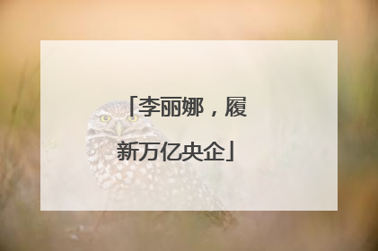 李丽娜，履新万亿央企