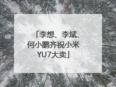 李想、李斌、何小鹏齐祝小米YU7大卖