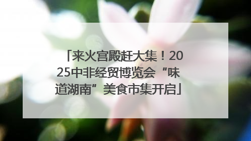 来火宫殿赶大集！2025中非经贸博览会“味道湖南”美食市集开启