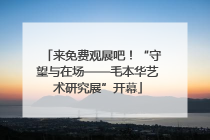 来免费观展吧！“守望与在场——毛本华艺术研究展”开幕