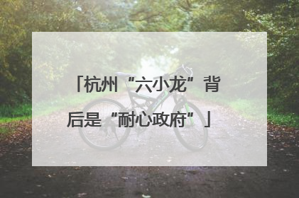 杭州“六小龙”背后是“耐心政府”