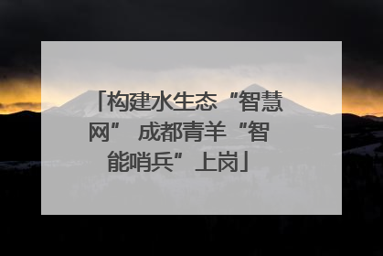 构建水生态“智慧网” 成都青羊“智能哨兵”上岗