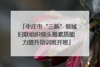 枣庄市“三新”领域妇联组织领头雁素质能力提升培训班开班