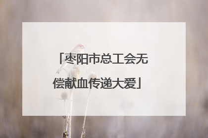 枣阳市总工会无偿献血传递大爱