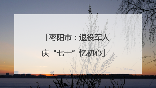 枣阳市：退役军人庆“七一”忆初心