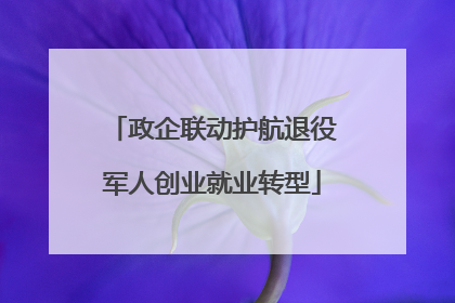 政企联动护航退役军人创业就业转型